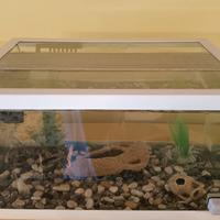 Acquario completo nuovo 