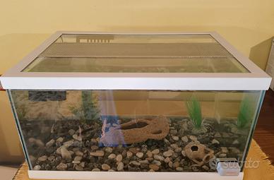 Acquario completo nuovo 