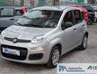 FIAT Panda Easy 1.2cc 69cv CLIMA *GPL*