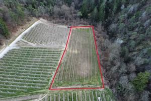 Terreno agricolo a Nanno (TN)