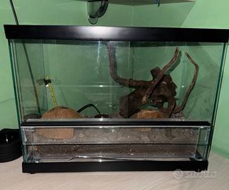Terrario per rettili
