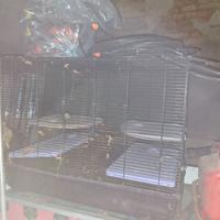 N. 2 gabbie roditori