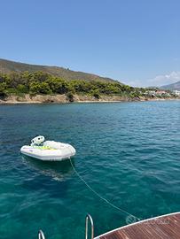 Tender Arimar 280 con motore Suzuki 6cv