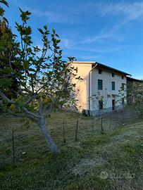 Casa singola con rustico