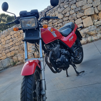 Honda ft 500