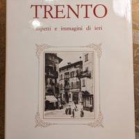 TRENTO ASPETTI ED IMMAGINI DI IERI – 1984