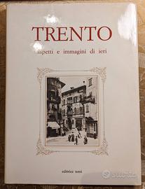 TRENTO ASPETTI ED IMMAGINI DI IERI – 1984