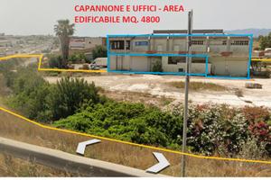 Capannone con area edificabile in lotto di mq.4300