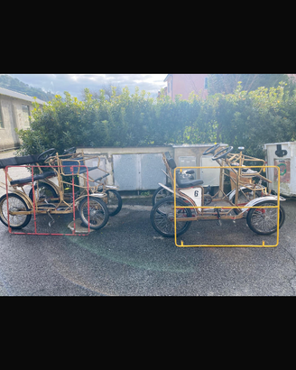 Risciò originale delfino