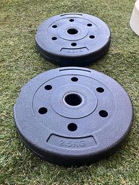 Disco/Peso per palestra
