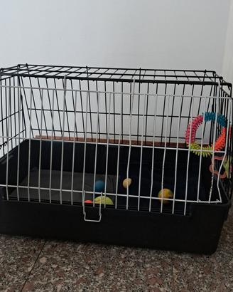 GABBIA  PER  CANE/GATTO