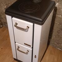 Stufa a legna della Nordica 