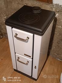 Stufa a legna della Nordica 