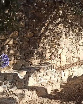 Manovale, Muratore, Autista, Giardinere