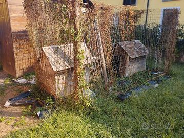 Cuccia cane