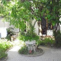 Appartamento in villa a Casamicciola di Ischia