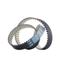 Cinghie distribuzione