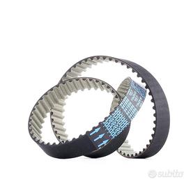 Cinghie distribuzione