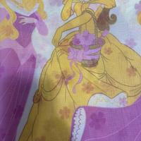 Tende Disney Princess Caleffi