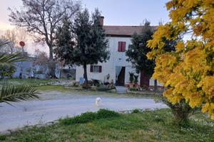 Privato casa Trecastelli