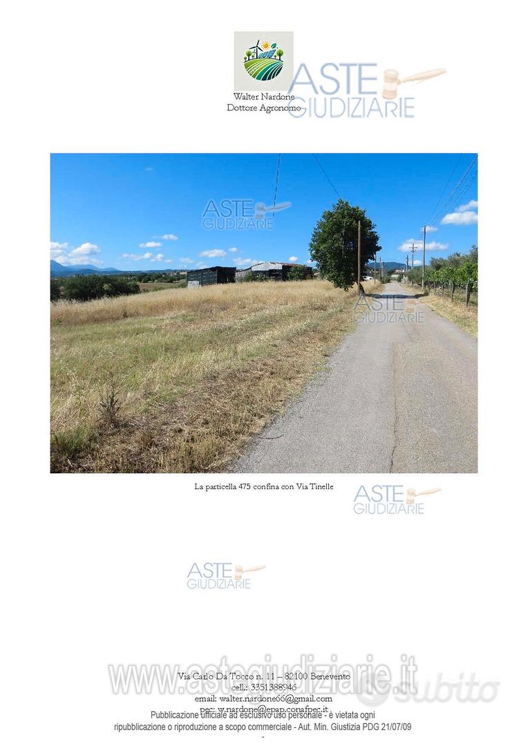 Terreno Agricolo Calvi [A4346608] - Vista 4