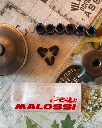 variatore Malossi 101