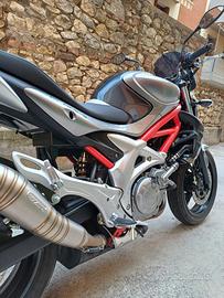 Suzuki Gladius 650