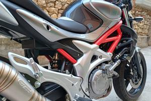 Suzuki Gladius 650
