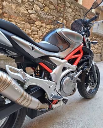 Suzuki Gladius 650