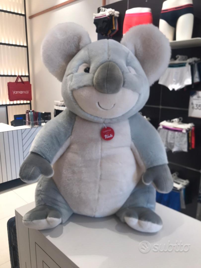 Koala store trudi gigante