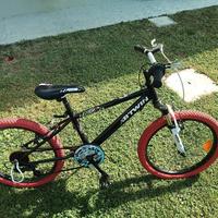 bicicletta raggio 20