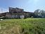 Immagine 10