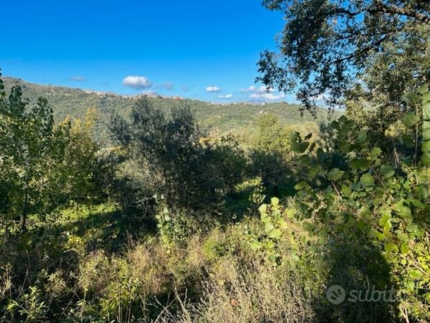 San Mango-terrenoagricolo con vasca di raccolta d