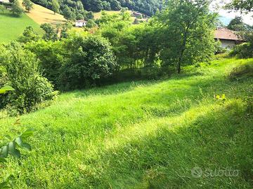 Terreno edificabile di 1990 mq