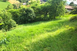 Terreno edificabile di 1990 mq