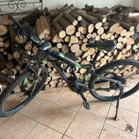 Bici ebike