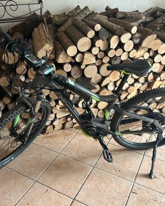 Bici ebike