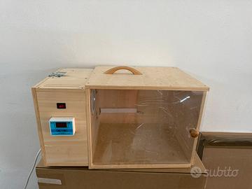 Camera calda canarino cardellino uccelli