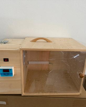 Camera calda canarino cardellino uccelli