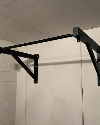 Wall Pull-Up Bar Lacertosus