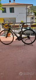 Bicicletta in carbonio
