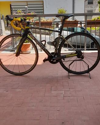 Bicicletta in carbonio