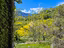 Immagine 25