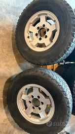 Cerchi in lega per Terrano