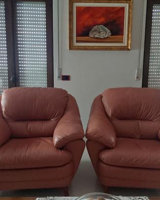 Poltrone in pelle