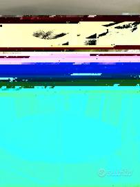 trampolino , tappeto elastico