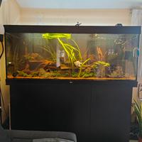 Acquario Rio juwel  450