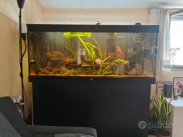 Acquario Rio juwel  450