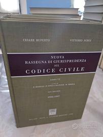 NUOVA RASSEGNA DI GIURISPRUDENZA SUL CODICE CIVILE