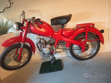 Motom 50